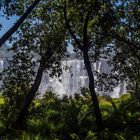 Blick durch den Regenwald auf die Victoria-Fälle