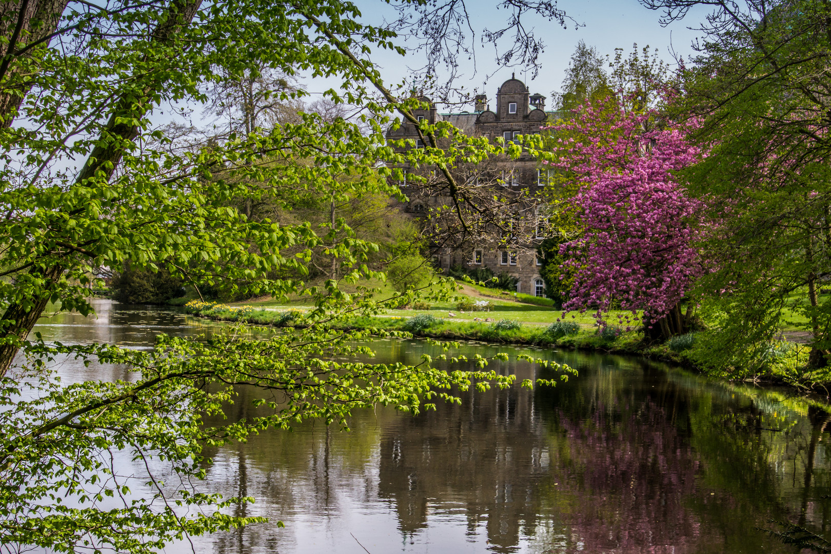 Blick durch den Schlosspark - Bückeburg