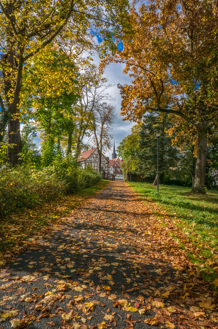 Blick durch den Schlosspark - Schlitz/Hessen