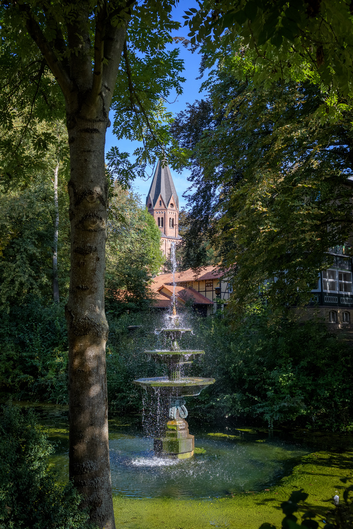 Blick durch den Stiftsgarten Einbeck