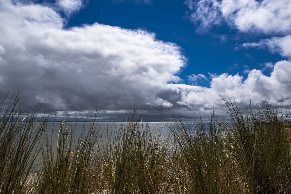 Blick durch den Strandhafer