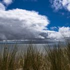 Blick durch den Strandhafer