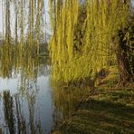 Blick durch den Vorhang
