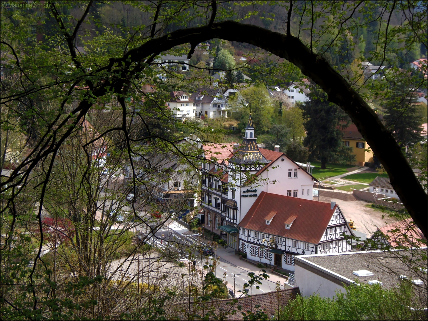 Blick durch den Wald...