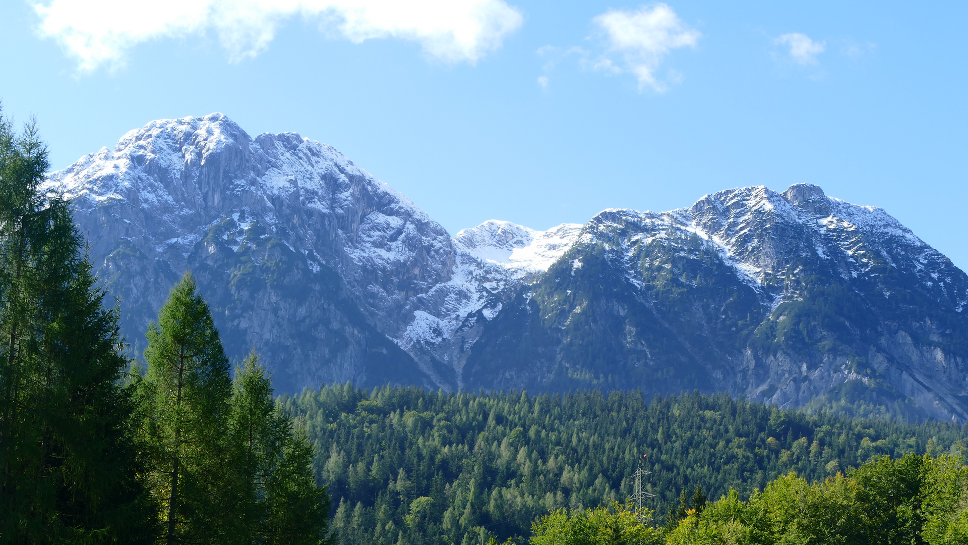 Blick durch den Wald auf den Sarstein