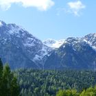 Blick durch den Wald auf den Sarstein