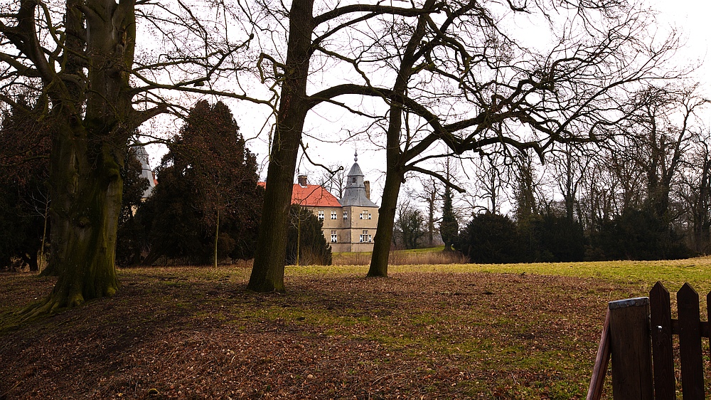 Blick durch die Bäume .....