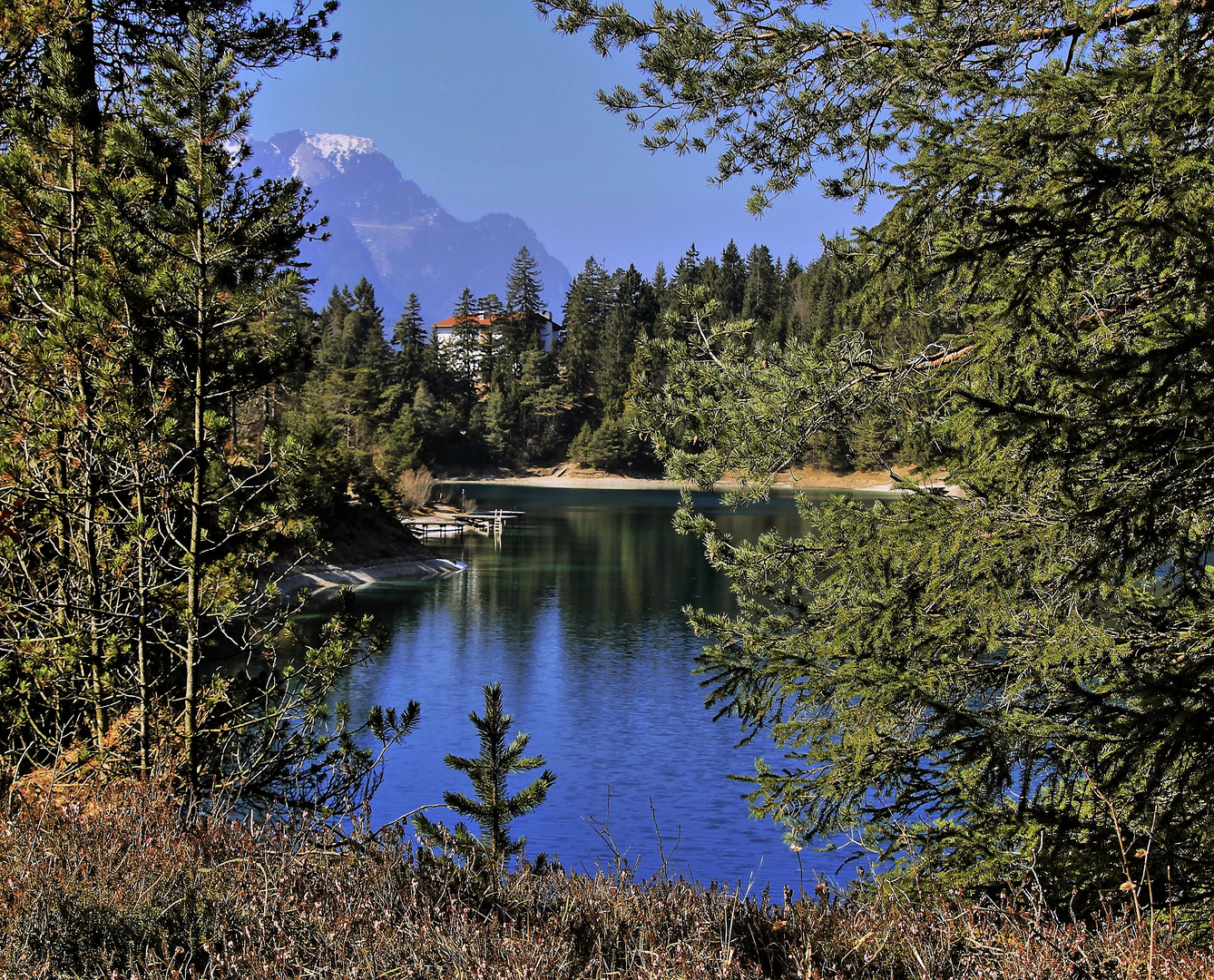 Blick durch die Bäume