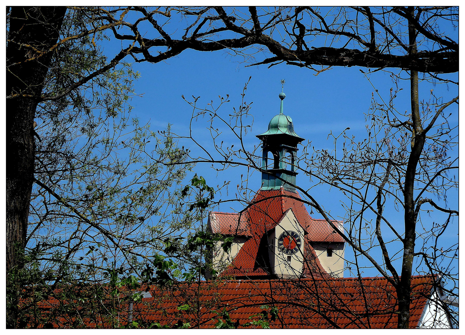 Blick durch die Bäume