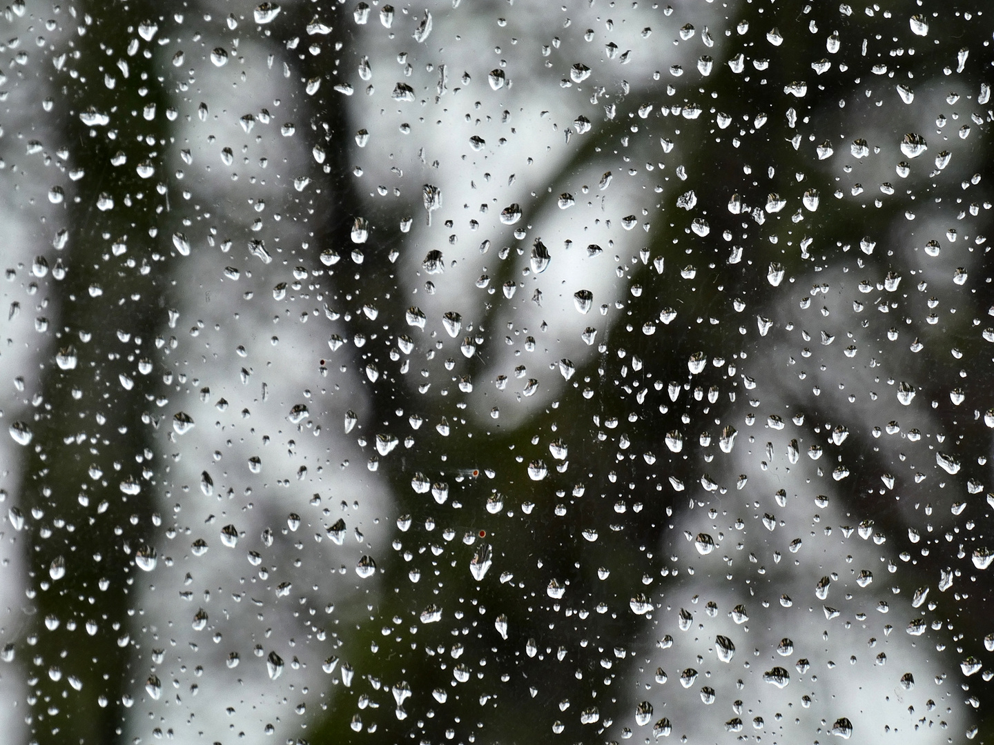 Blick durch die Balkontüre :-(