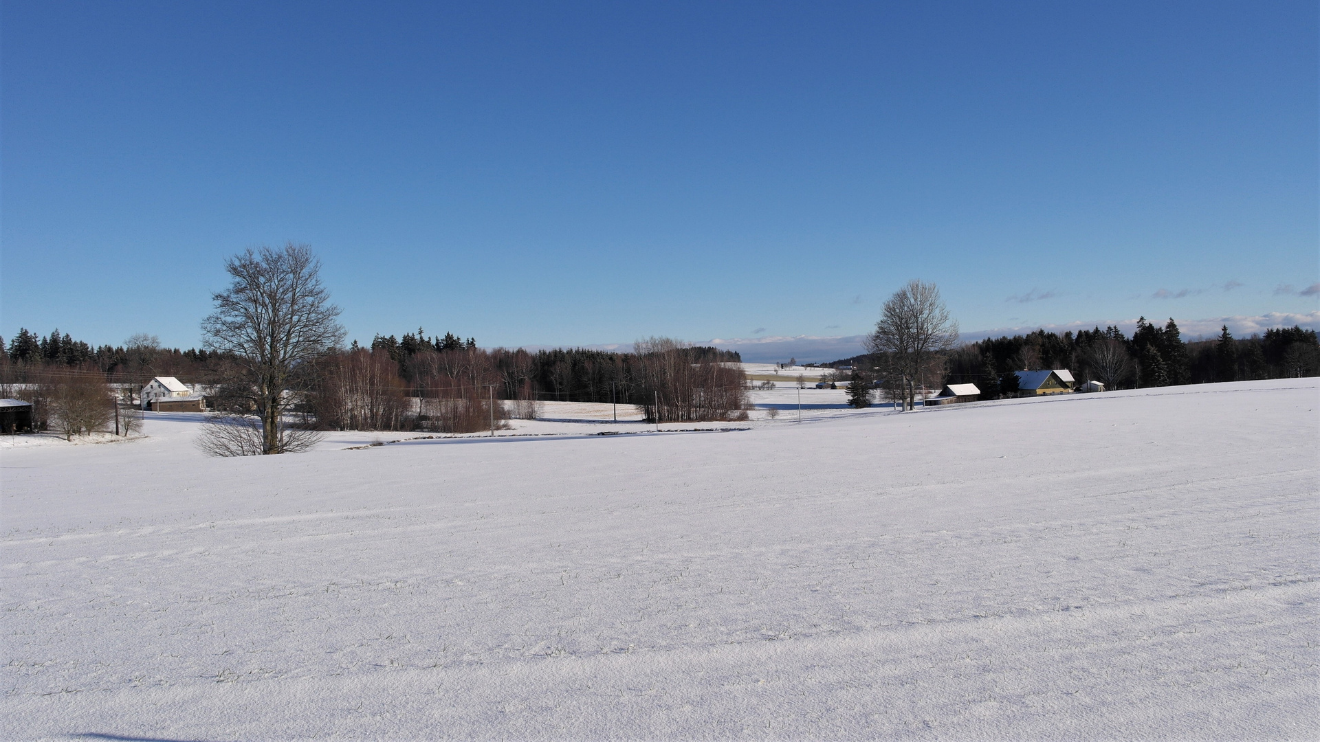 Blick durch die Lichtung Lücke Bauernhofmuseum