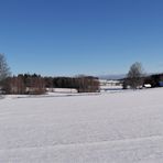 Blick durch die Lichtung Lücke Bauernhofmuseum