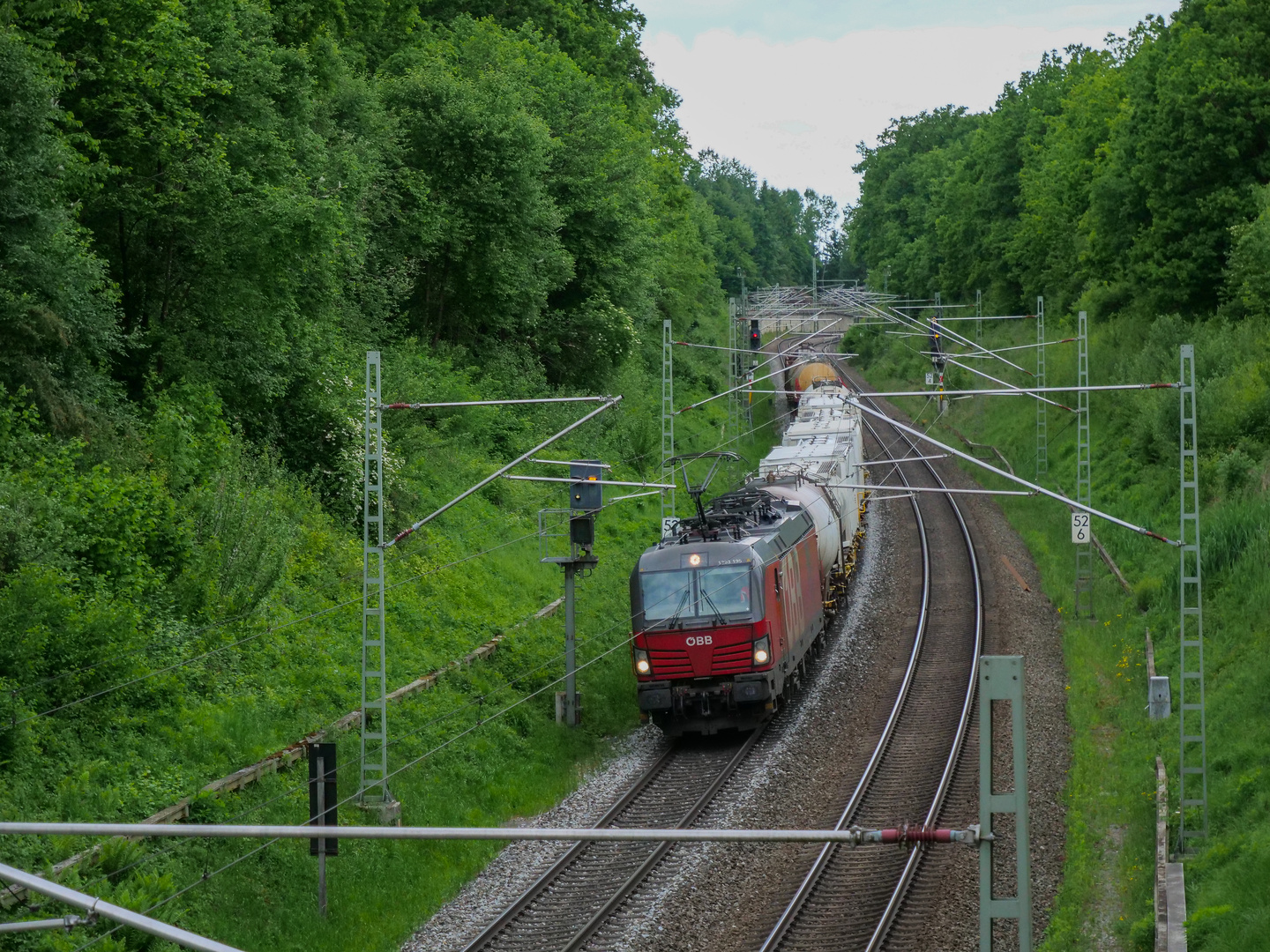 Blick durch die Masten