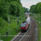 Blick durch die Masten