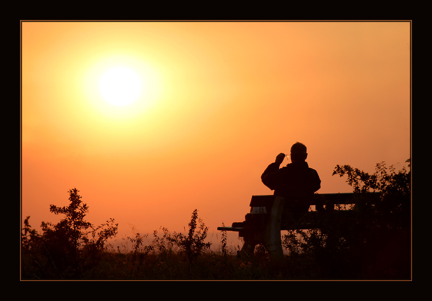 Blick durch die rosa - eh - die orange Brille ...