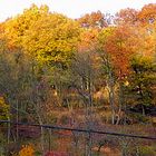 Blick durch die Schornsteine auf den Mühlenberg