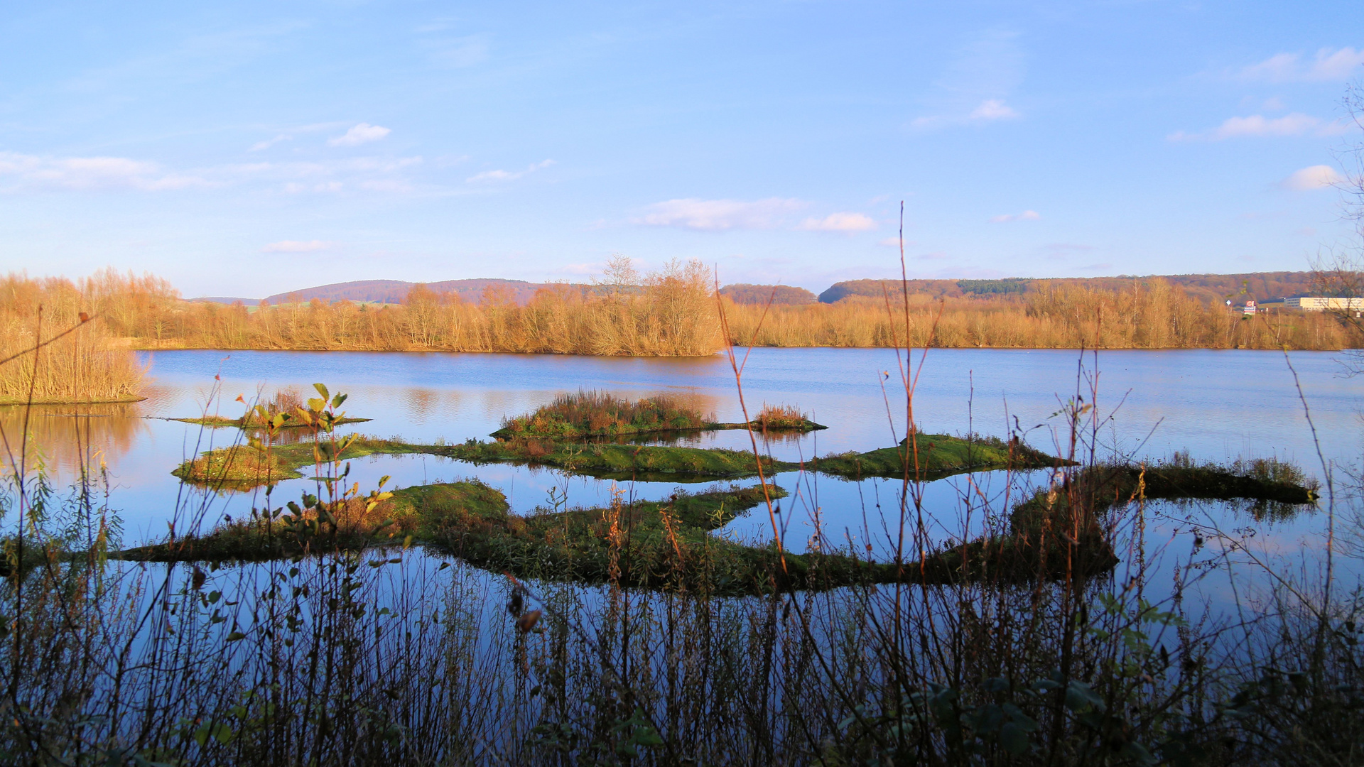 Blick durch die Sichtschutzwand...