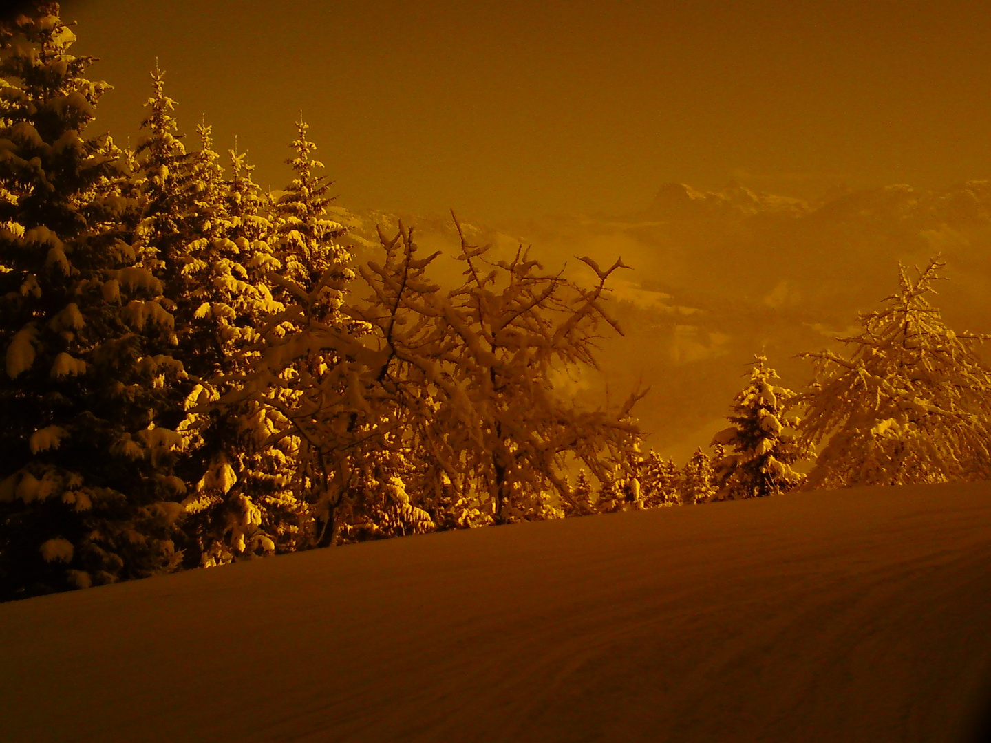 Blick durch die Skibrille