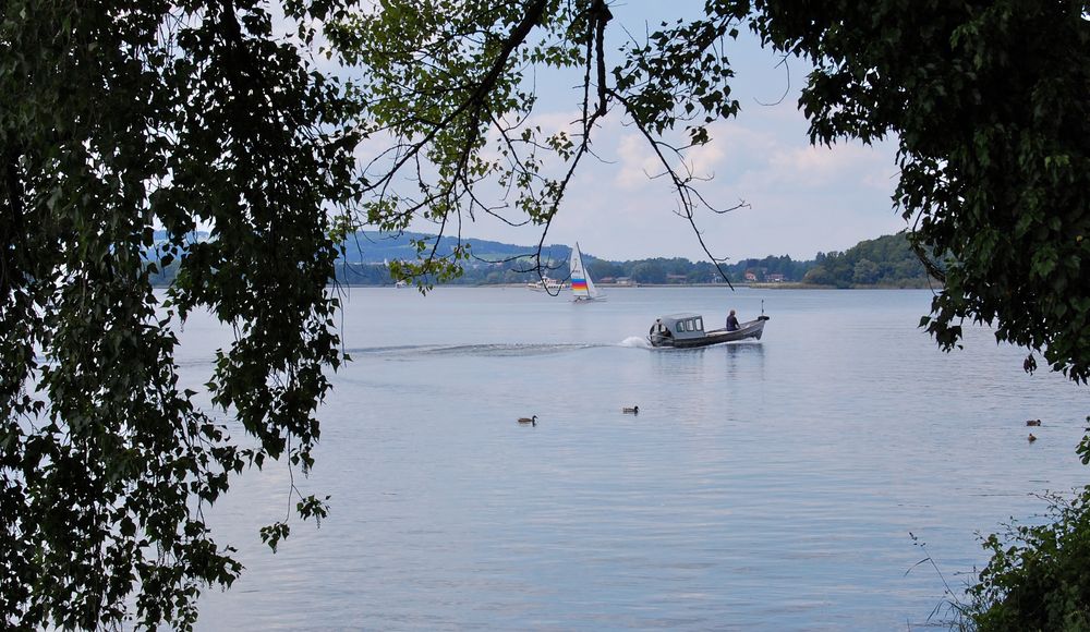 Blick durch eine Baumlücke auf den Chiemsee…