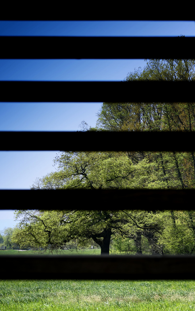 Blick durch eine Holztreppe