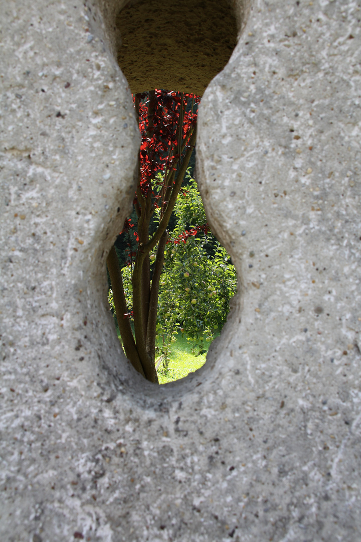 Blick durch eine Mauer in den Klostergarten