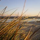 Blick durch Gras auf ein Meer (was nicht da ist)