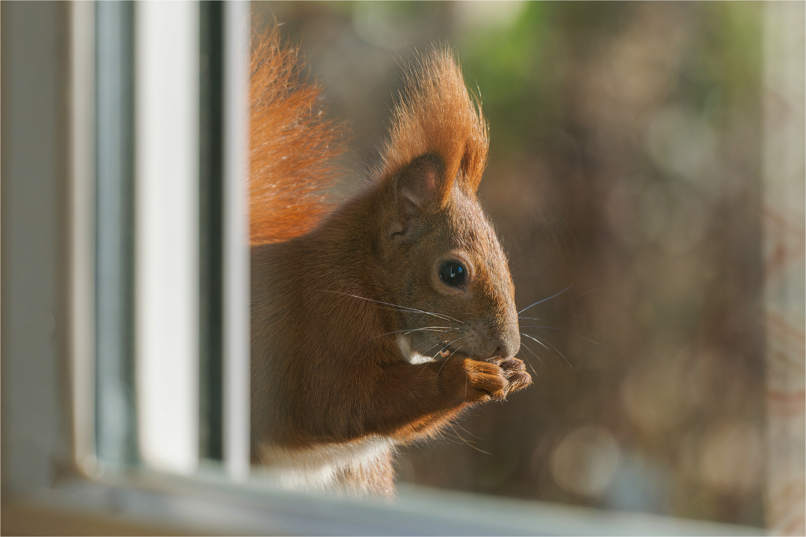 Blick durch´s Fenster  .....