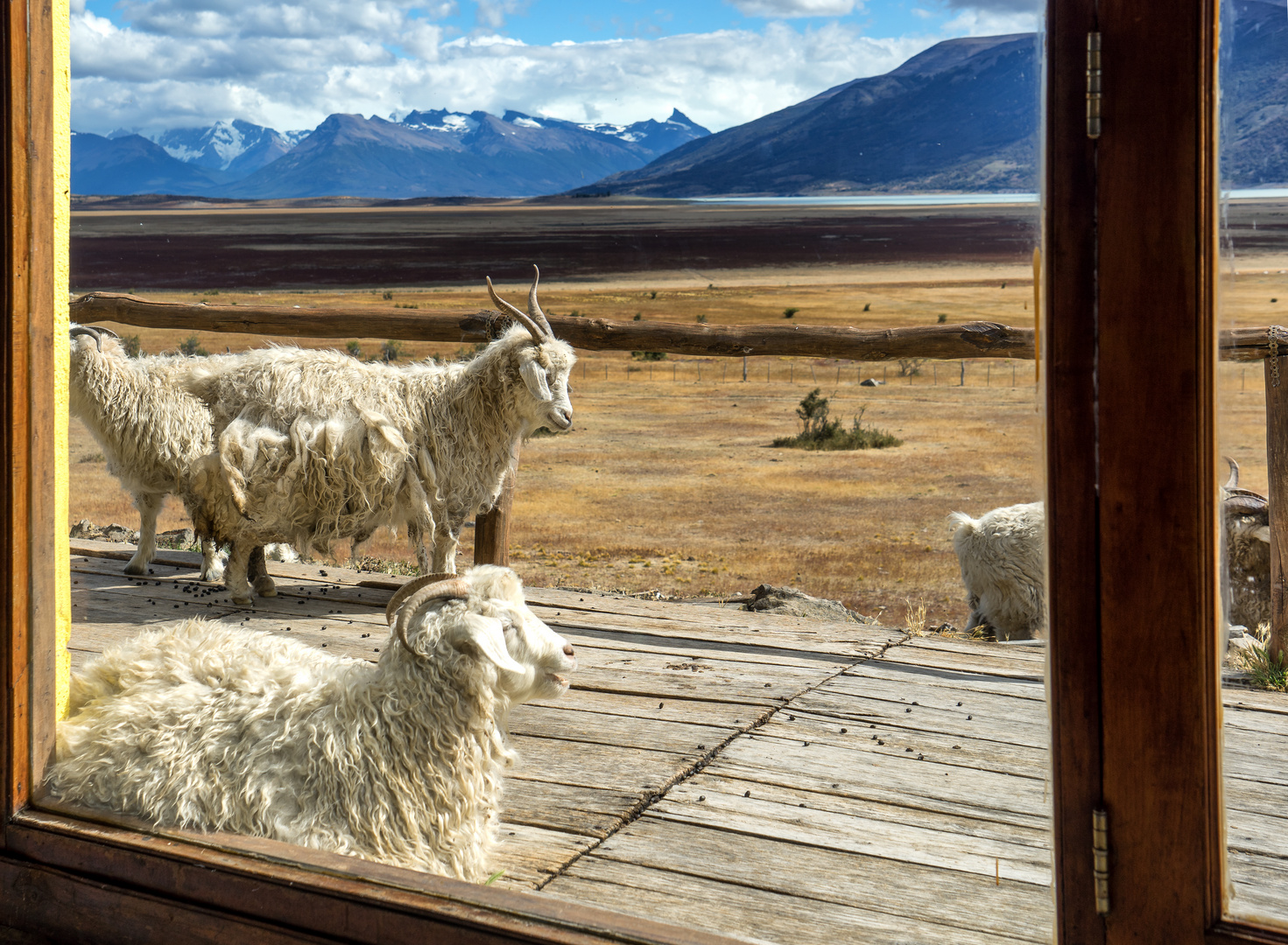 Blick durchs Fenster