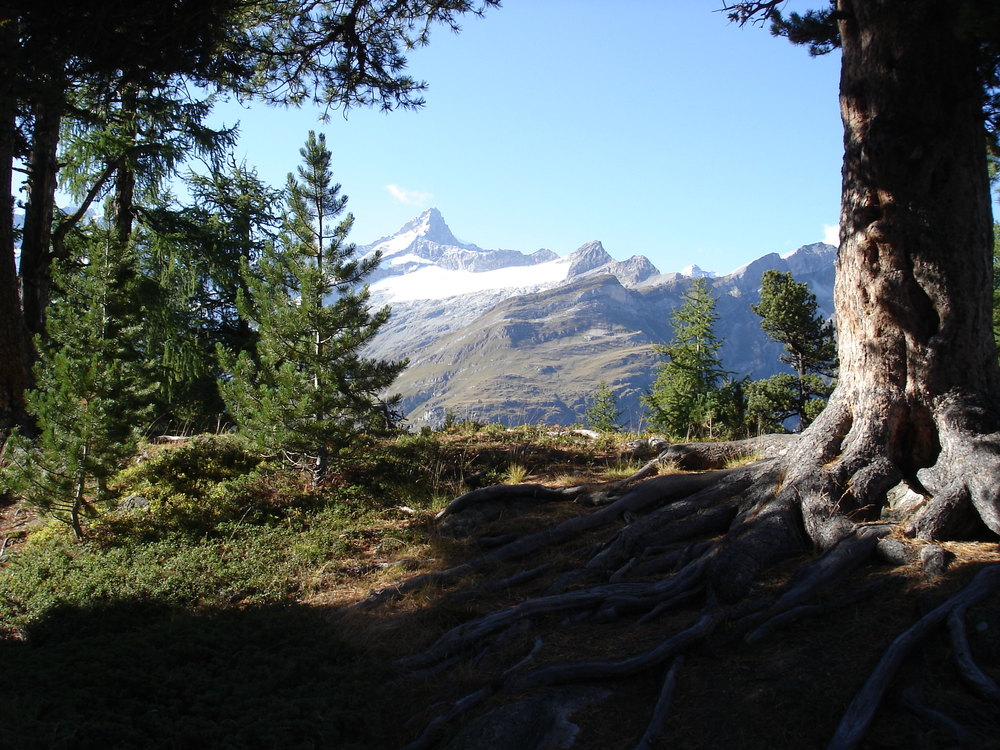 Blick durchs Fenster