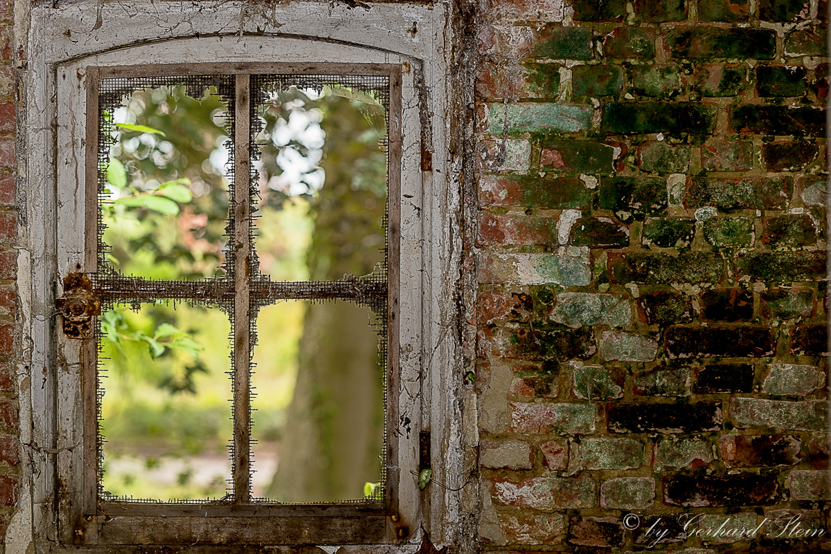 Blick durchs Fenster...