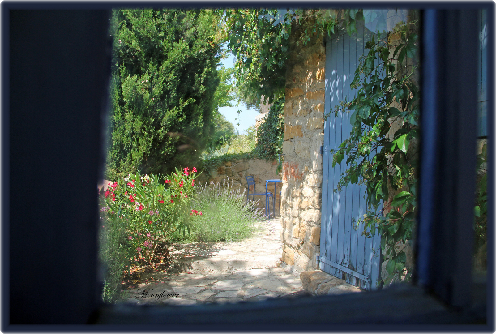 Blick durchs Fenster...