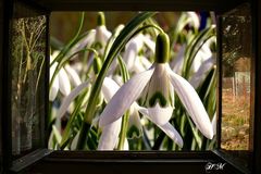 Blick durchs Fenster