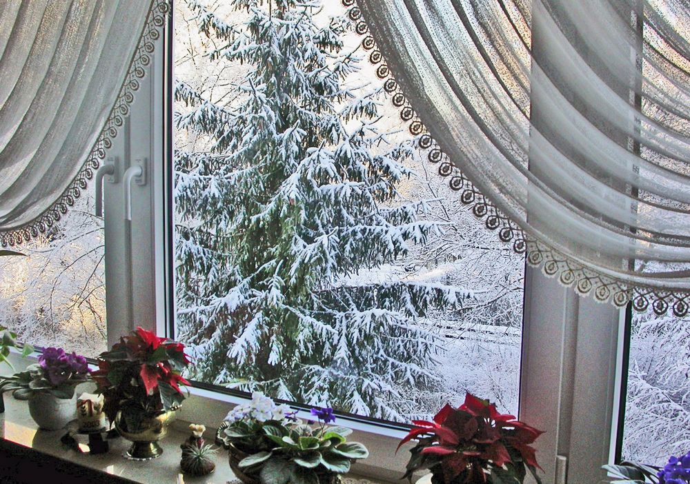 Blick durchs Fenster Foto &amp; Bild winter, bäume, natur