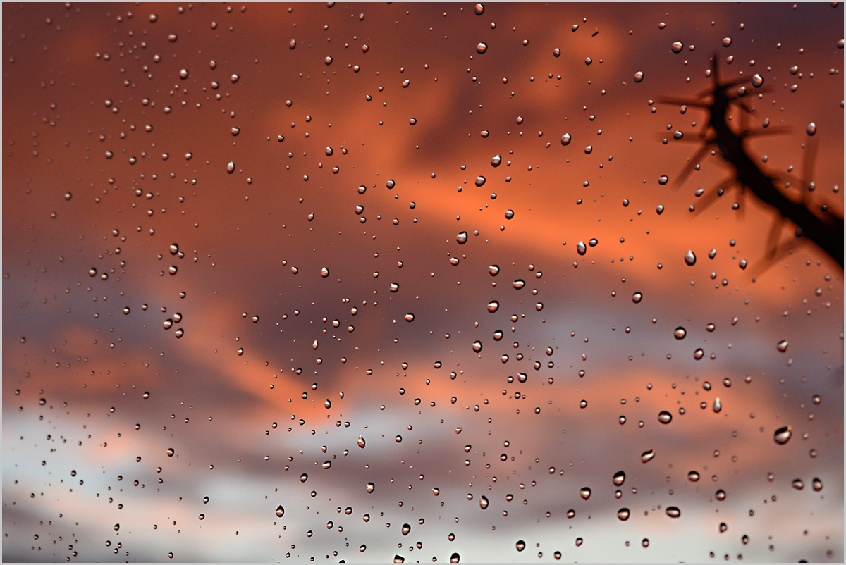 Blick durchs Fenster