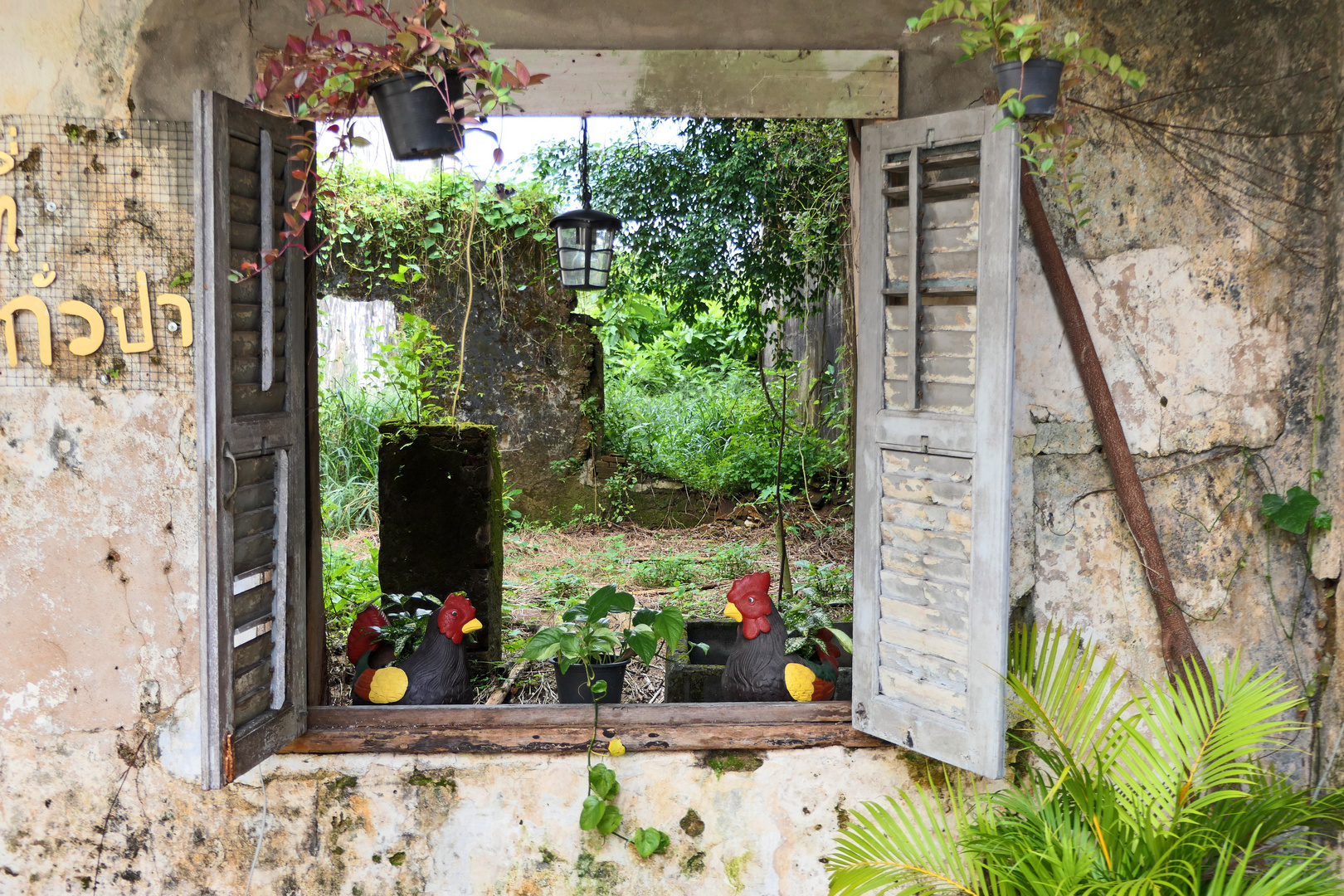 Blick durchs Fenster Foto &amp; Bild asia, thailand