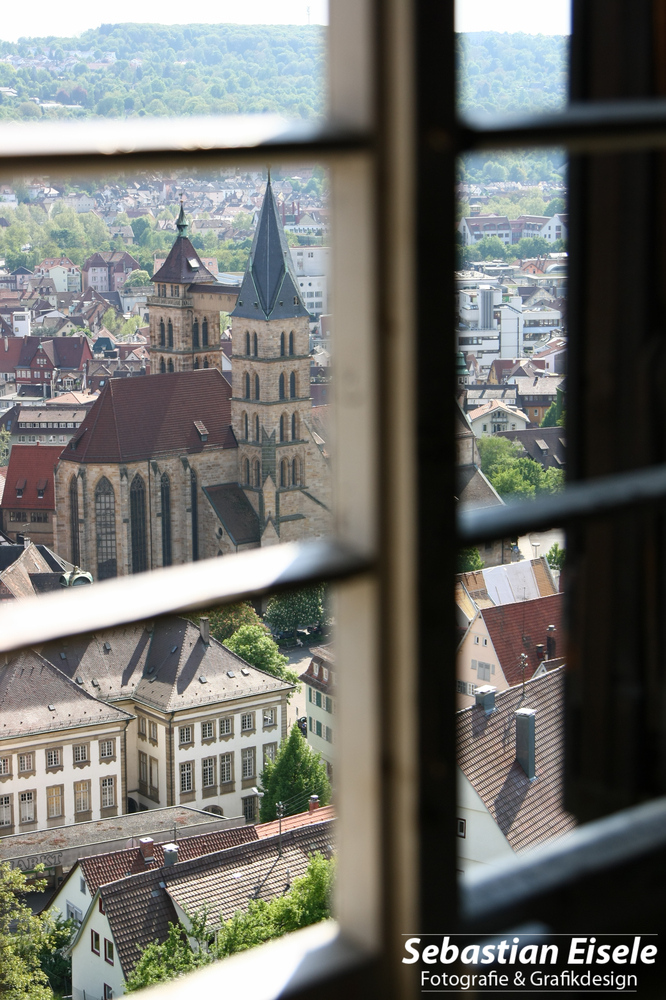 Blick durch´s Fenster