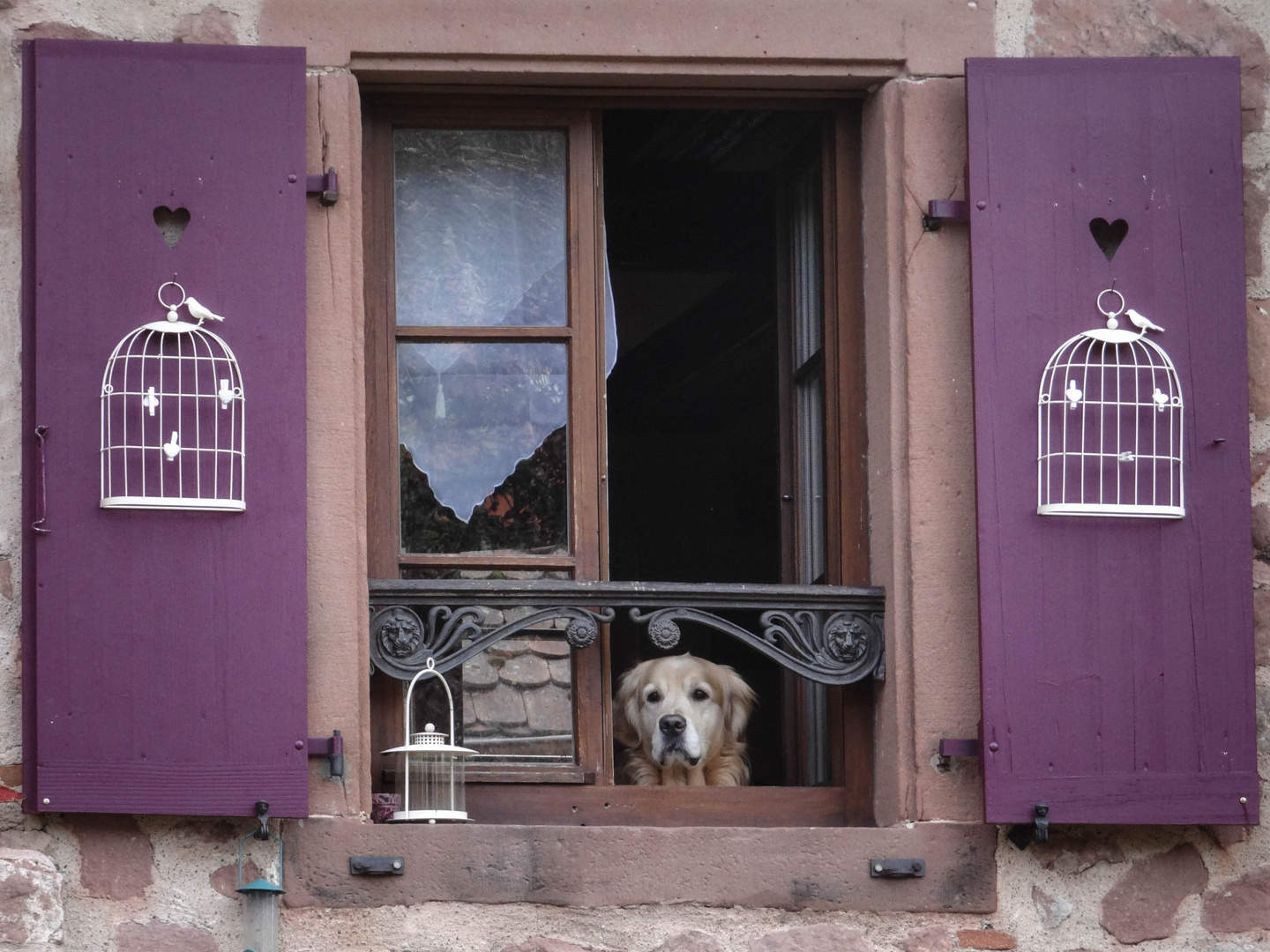 Blick durchs Fenster