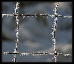 Blick durch's Fenster