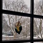 Blick durchs Fenster in den Winter