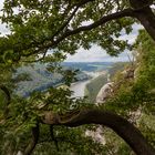 Blick durchs Geäst auf das Elbtal bei Rathen