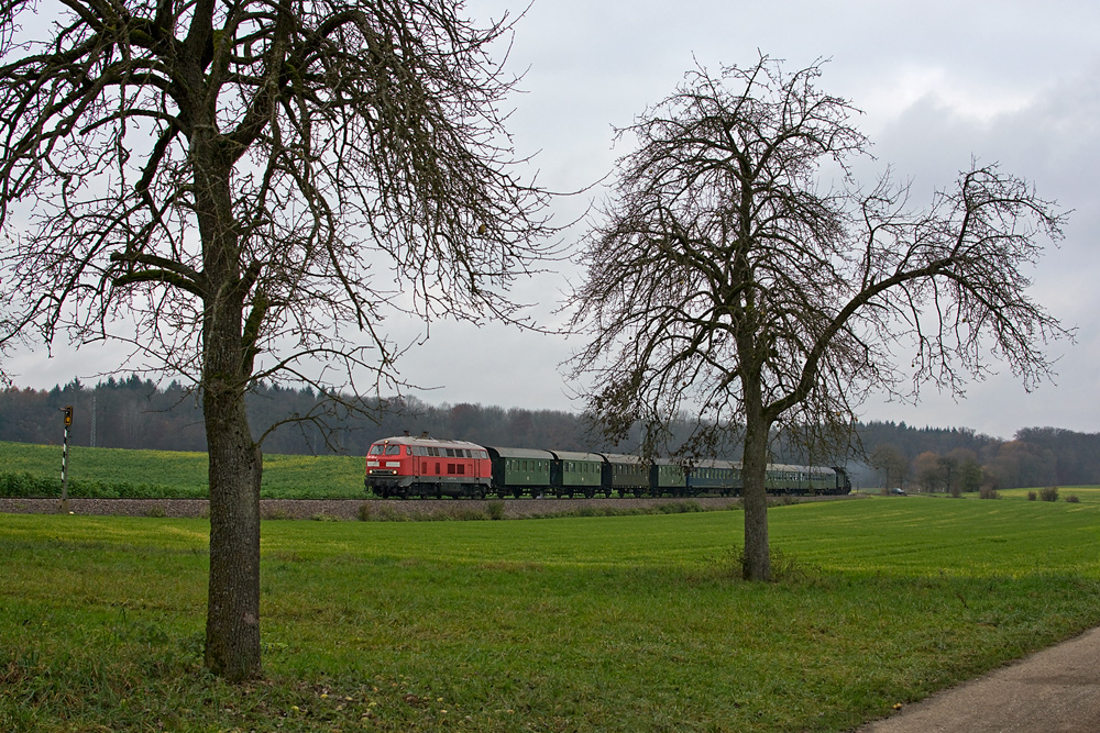 Blick durchs Geäst