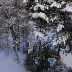 Blick durchs Küchenfenster