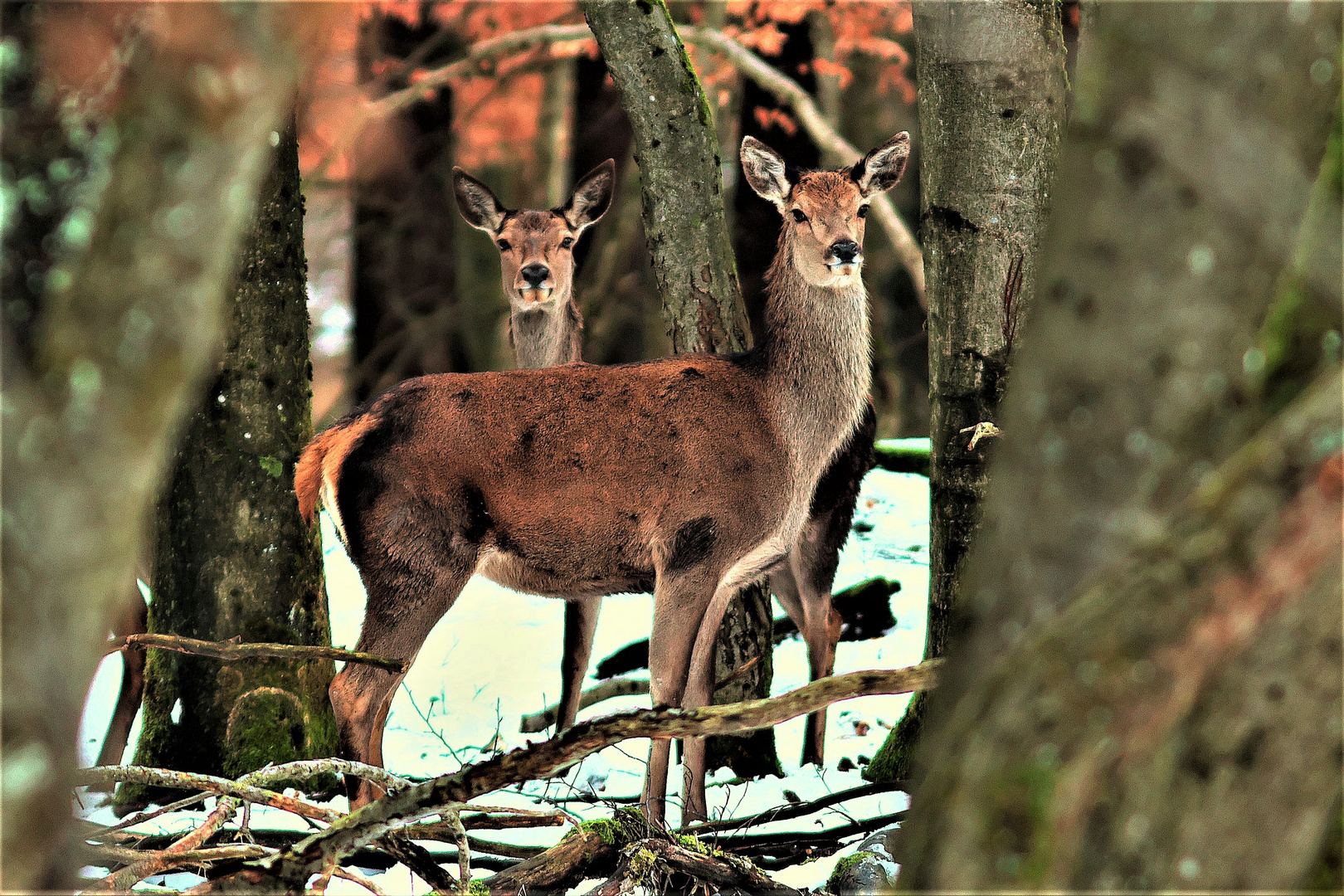 Blick durchs Schlüsselloch