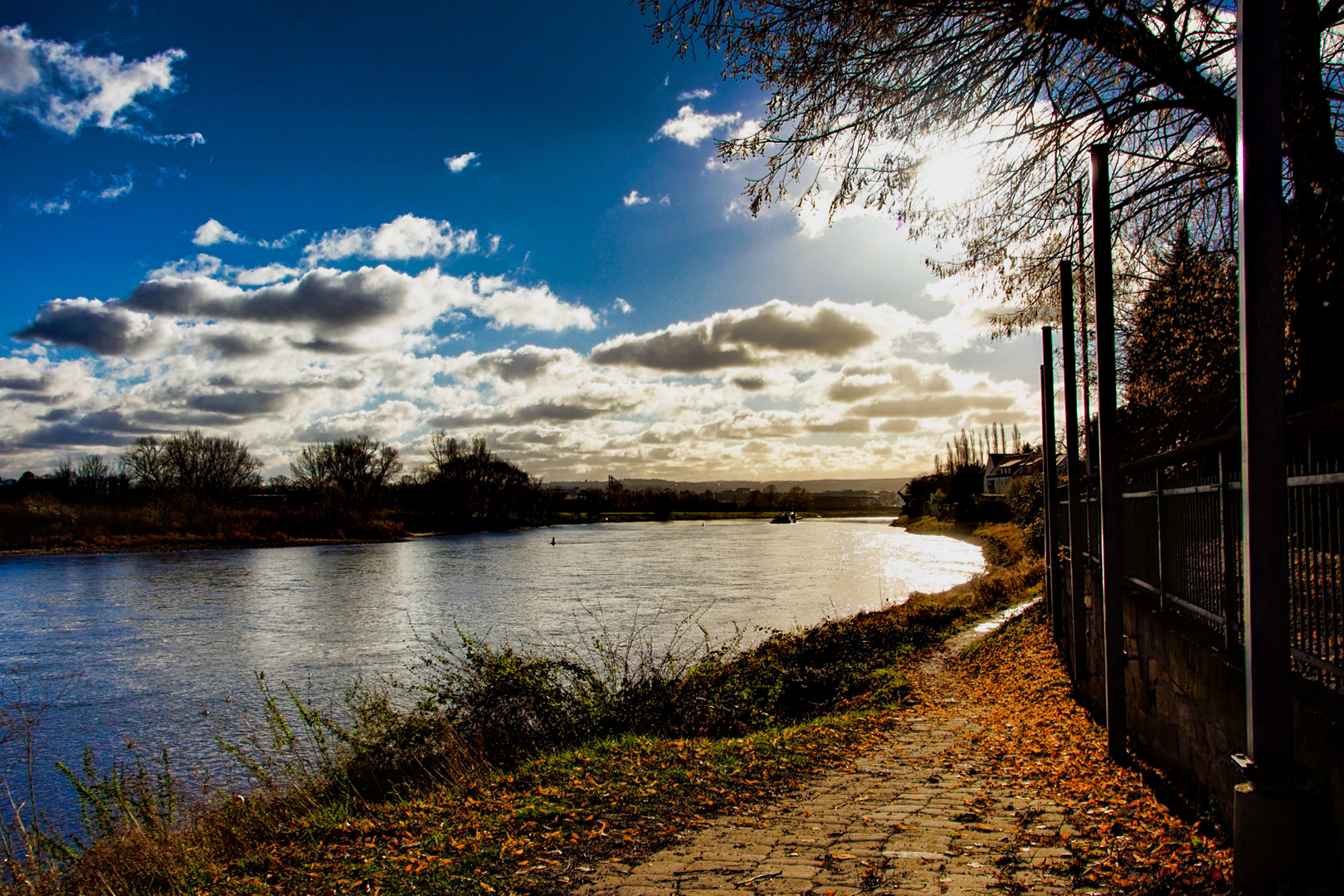 Blick elbabwärts bei der Lindenschänke - Altmickten Dresden