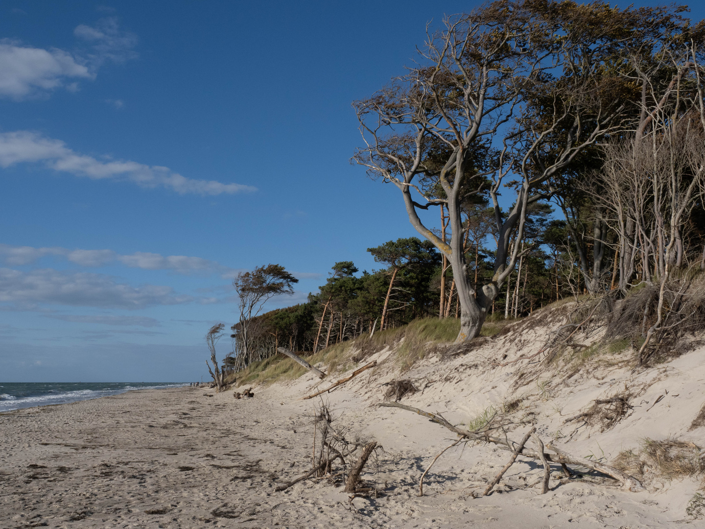 Blick entlang des Weststrandes