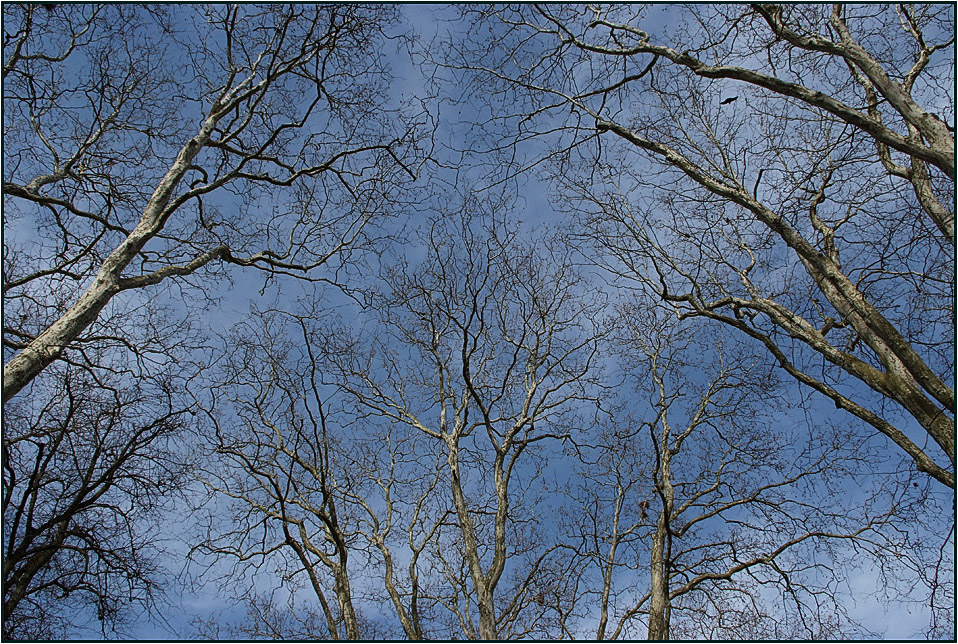 Blick gegen den Himmel