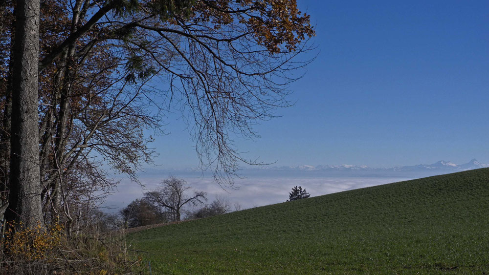 Blick gegen die Alpen