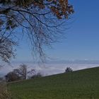 Blick gegen die Alpen