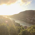 Blick gegen die Sonne - Scheffelterrasse, Heidelberg