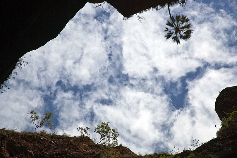 Blick gen Himmel, Purnululu Nationalpark, Echidma Chasm Trail, Australien (West)